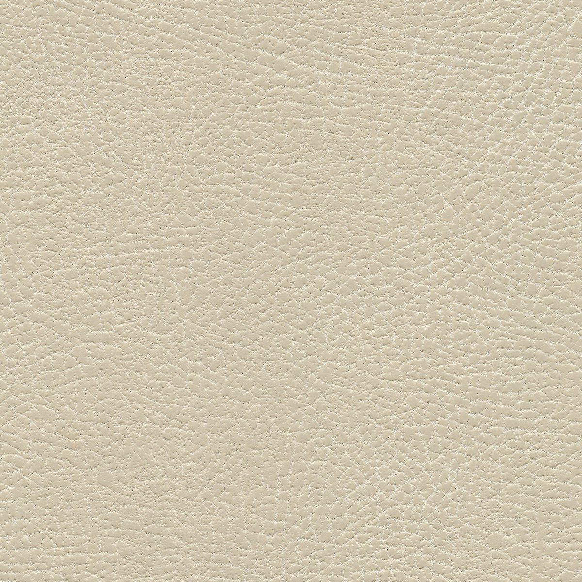 535-3480 Navajo Ivory.jpg