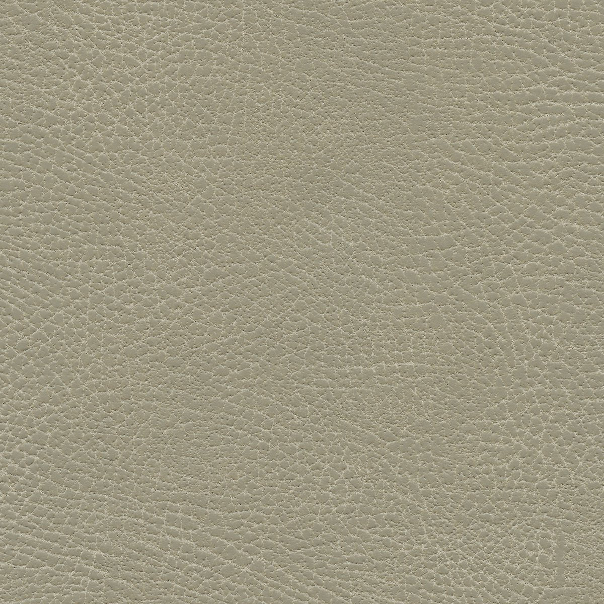 535-3869 Muslin.jpg