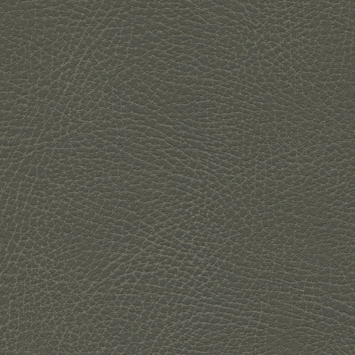 535-3870 Pelt.jpg