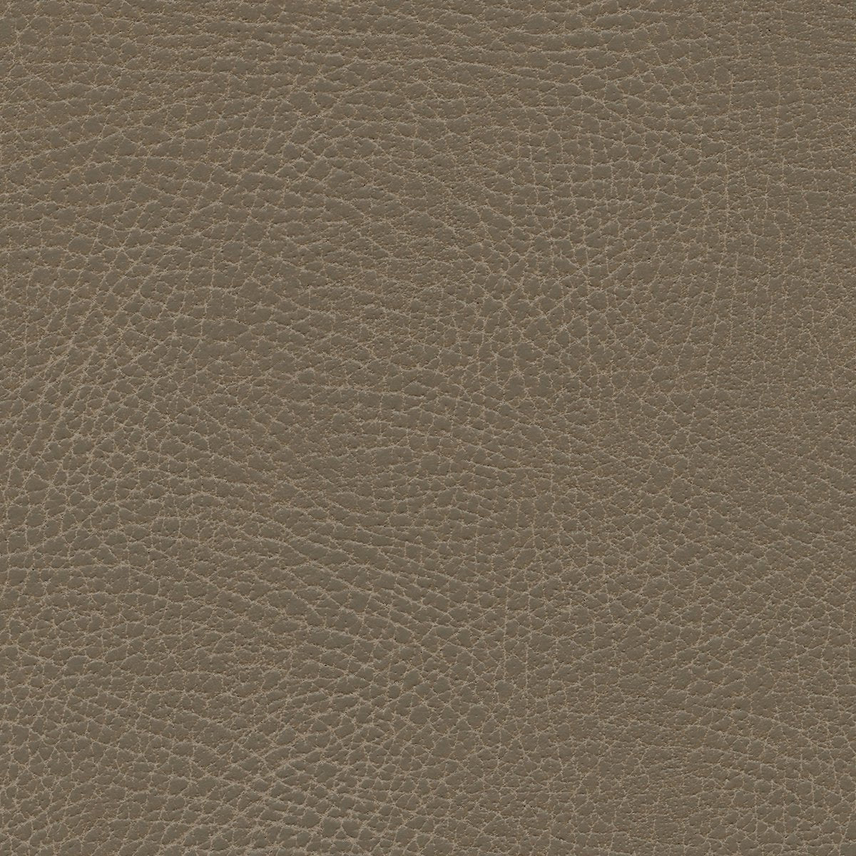 535-3871 Moccasin.jpg
