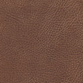 535-3972 Lasso.jpg