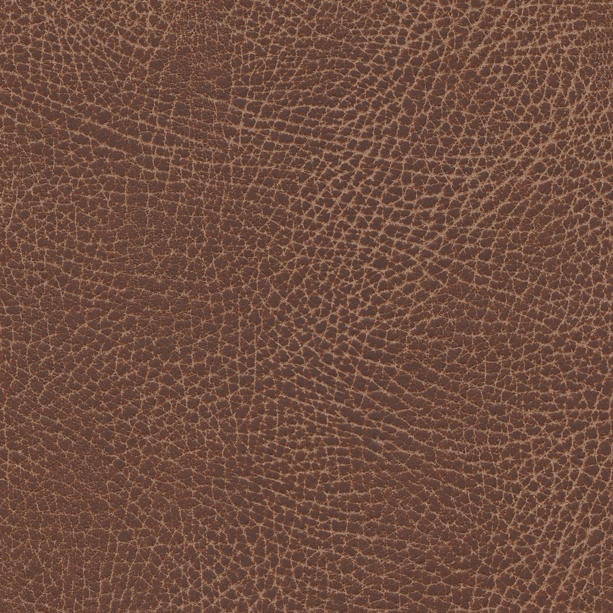 535-3972 Lasso.jpg