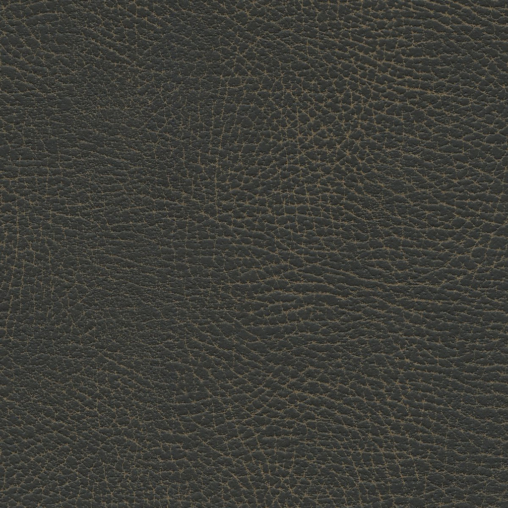 535-3974 Steerhide.jpg