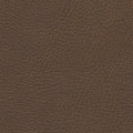 535-3976 Bridle.jpg