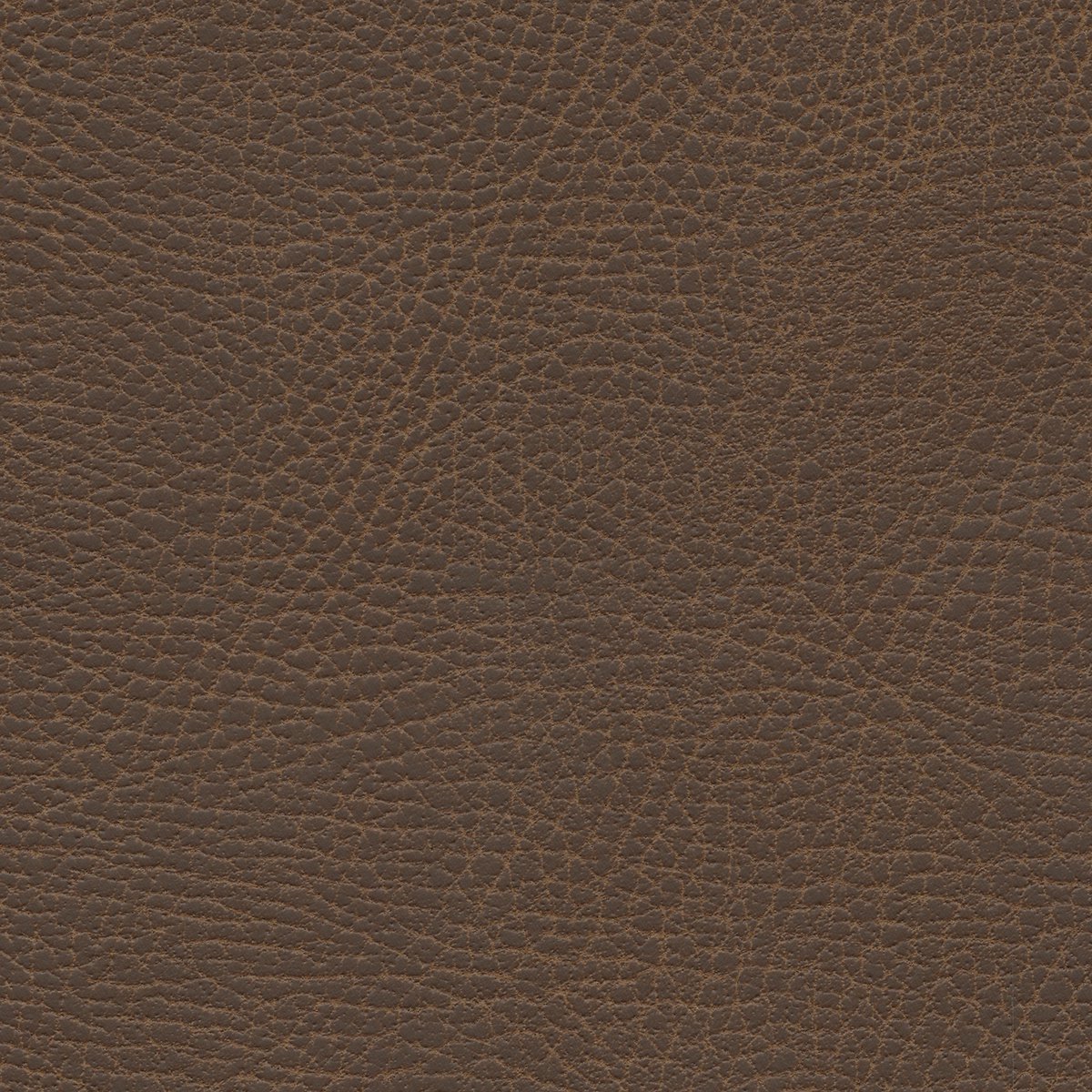 535-3976 Bridle.jpg