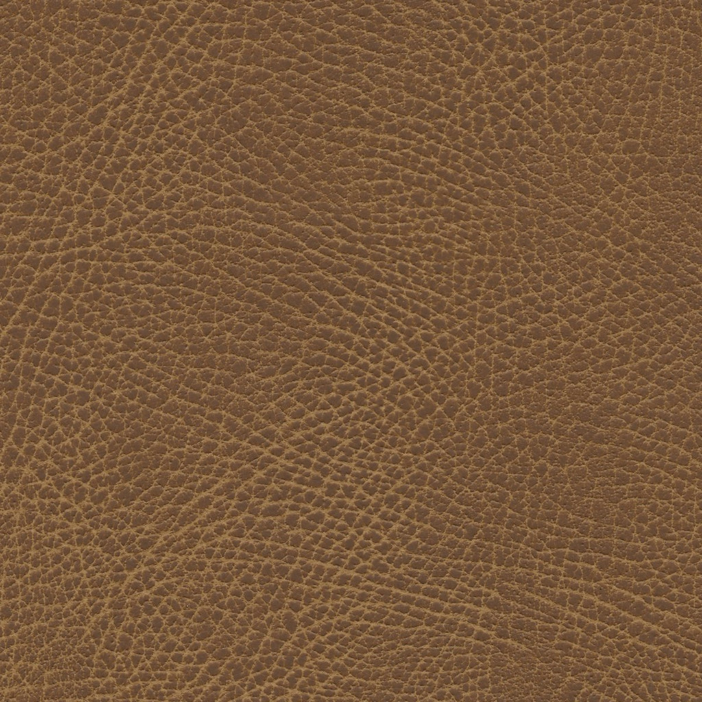 535-3980 Waylan.jpg