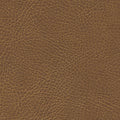 535-3980 Waylan.jpg