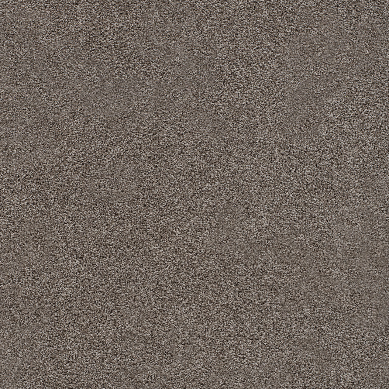Spectrum II - Gardner Soil