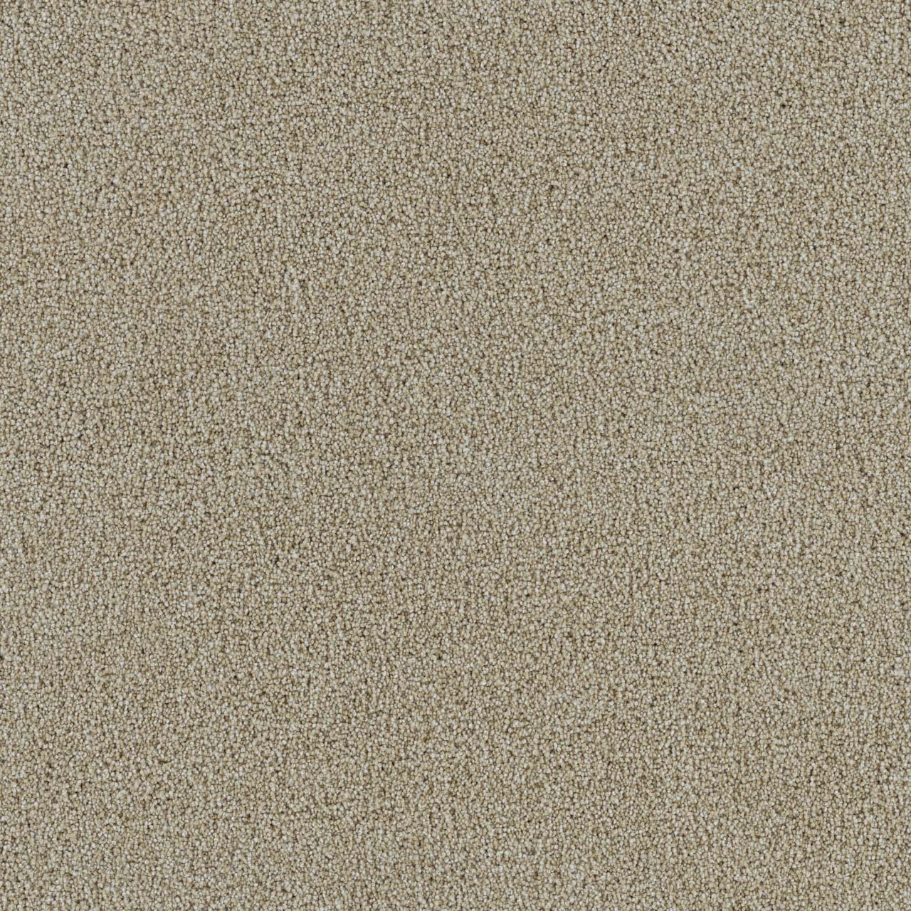 Spectrum II - Cream