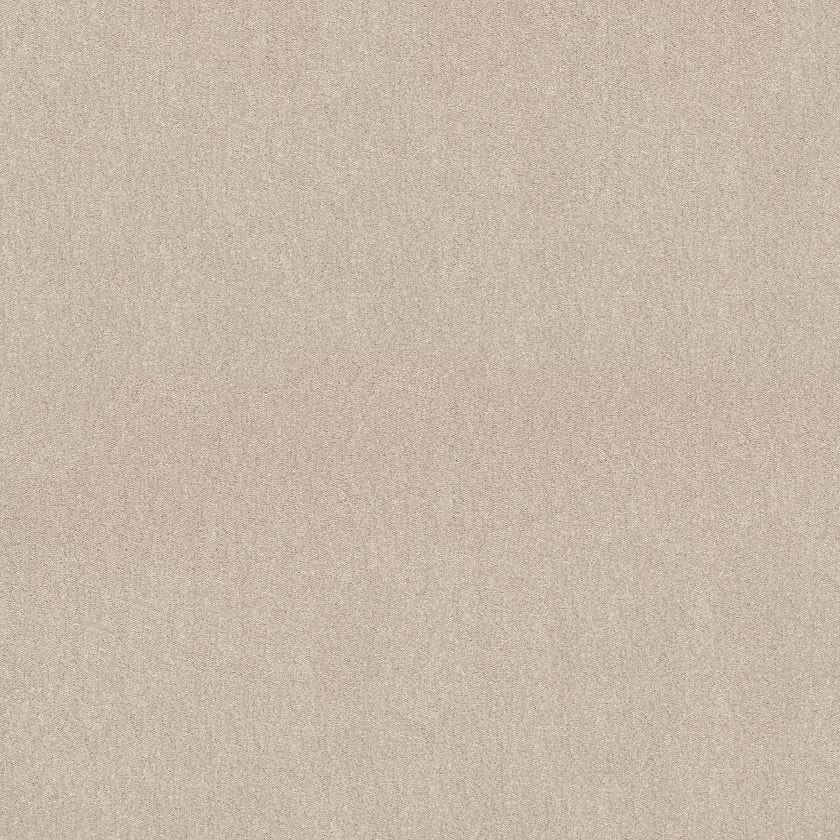 SOLIDIFY I 12' MINIMALIST MAIN