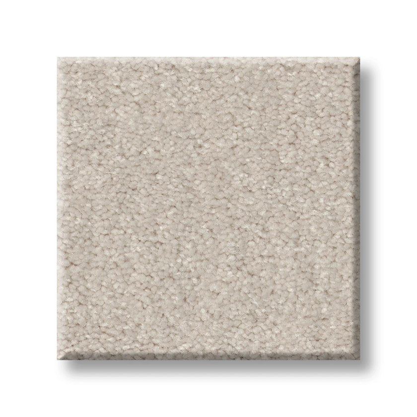 SOLIDIFY II 12' MINIMALIST SWATCH