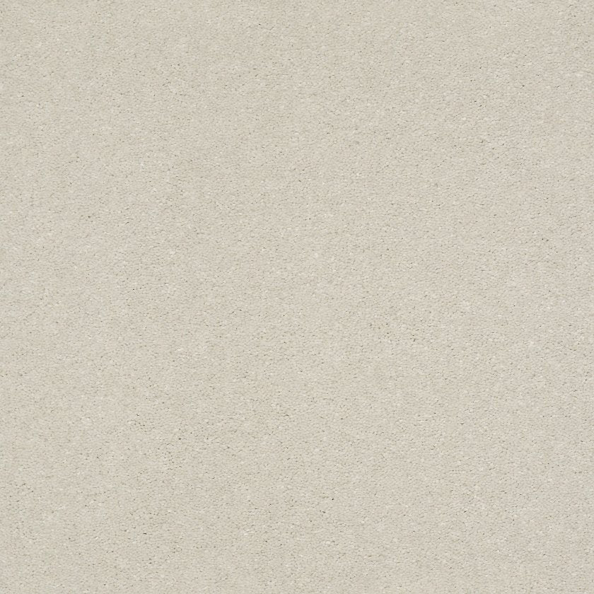 SOLIDIFY II 15' MINIMALIST MAIN