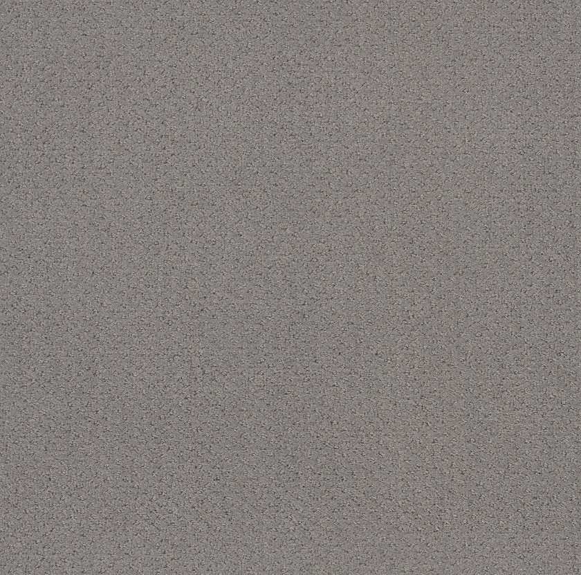 MAINSTAY GREY FOX - Carpet