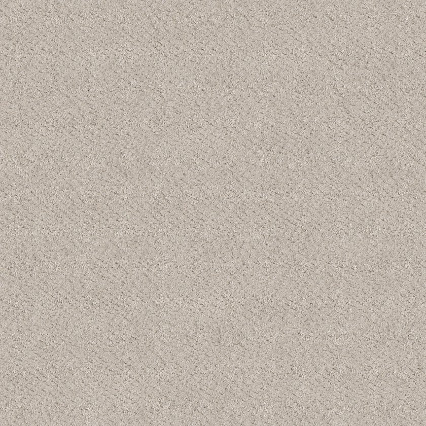 CHIC SHADES SERENE STILL MAIN