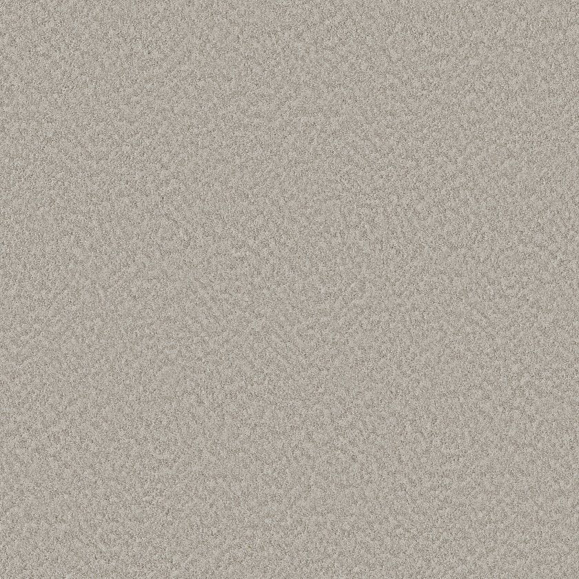 ALLURING CANVAS SPLIT SEDIMENT - Carpet