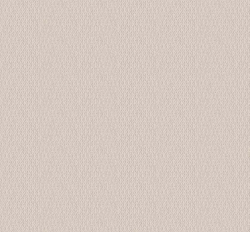 LOOP DE LOOP CANVAS MAIN