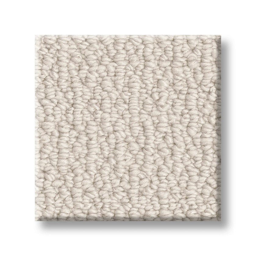 LOOP DE LOOP CANVAS SWATCH