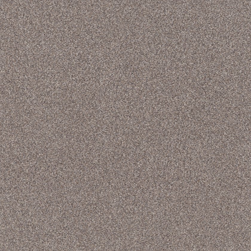 TruSplendor STAINLESS - Carpet
