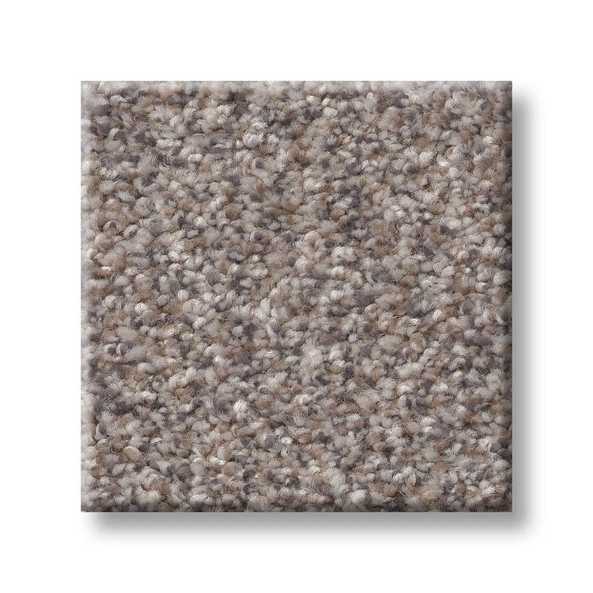 TruSplendor STAINLESS - Carpet