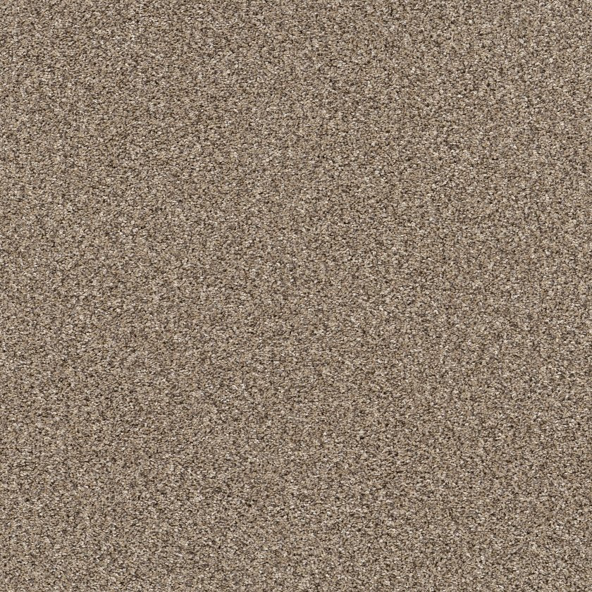 YES YOU CAN I 15' SEA SHELL - Carpet