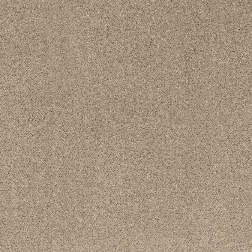 SIMPLY CLASSIC SEA SHELL - Carpet