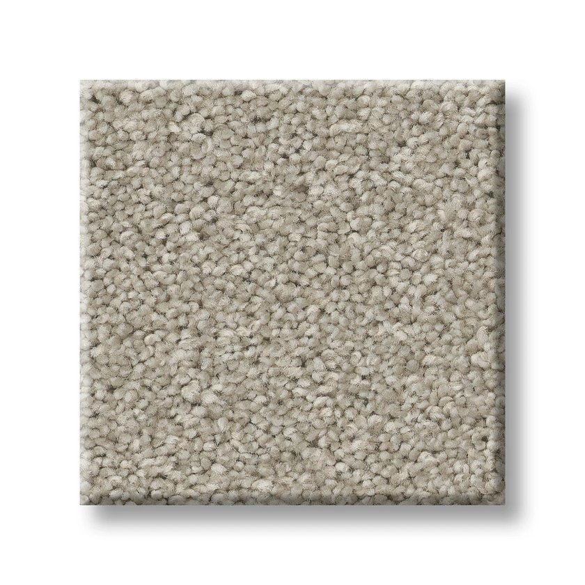 TRUSOLUTIONS I BLEACHED OAK SWATCH