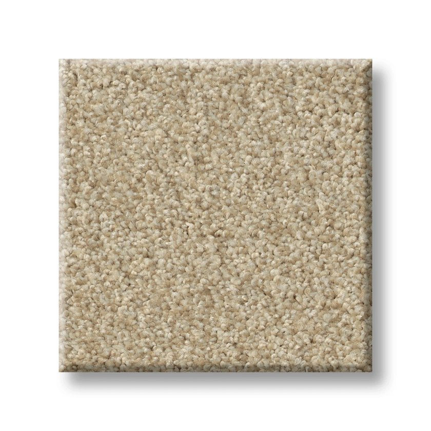 COMFORTING I SESAME SEED SWATCH