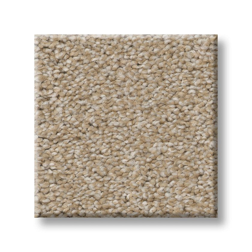 High Ranking - Tonal SUNLIT SWATCH