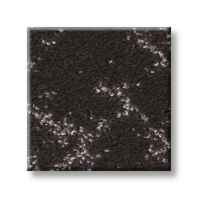 SINCERE FOCUS BISON SWATCH