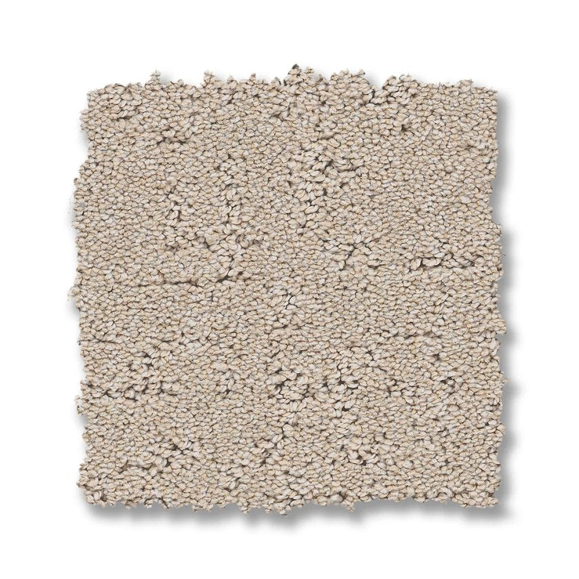 SECRET DESTINATION DUNE VIEW SWATCH