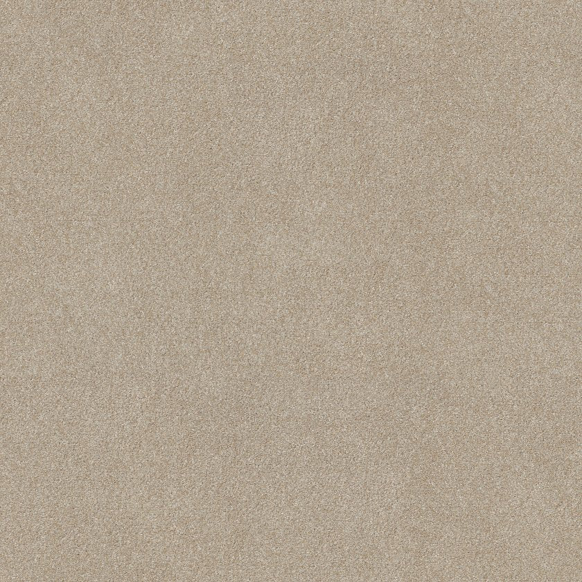 GOOD MOVE II PRACTICAL BEIGE MAIN
