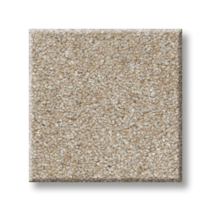 GOOD MOVE II PRACTICAL BEIGE SWATCH