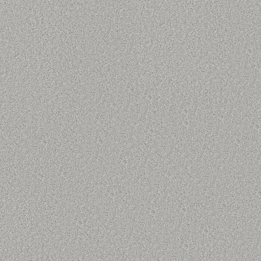 GOOD MOVE III SOFT FLEECE - Carpet