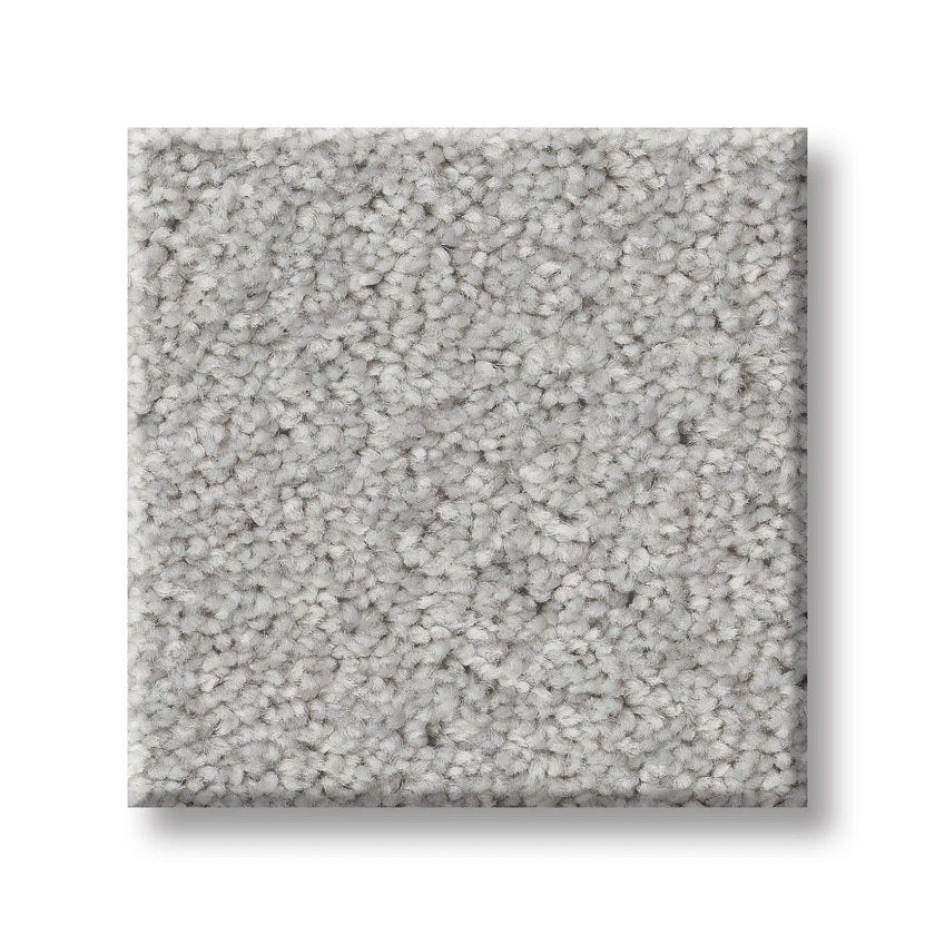 GOOD MOVE III SOFT FLEECE - Carpet