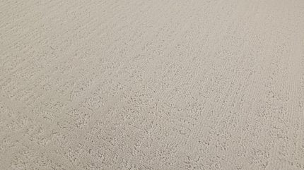 NATURAL INSTINCT IVORY - Carpet