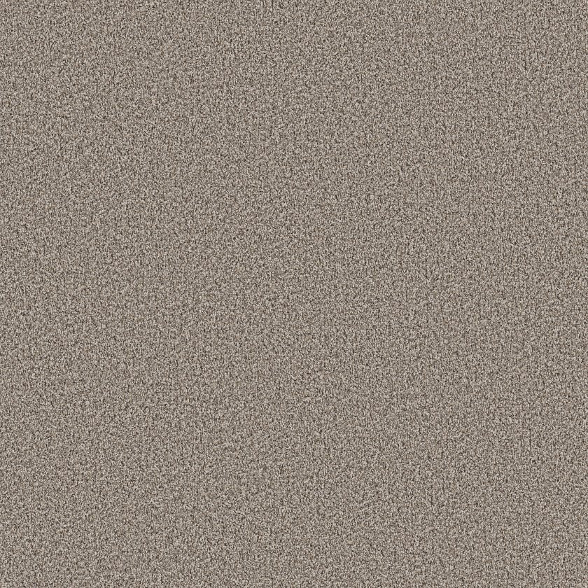 RAMPED UP NATURAL STONE - Carpet