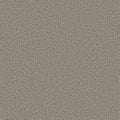 RAMPED UP NATURAL STONE - Carpet