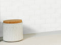 COASTAL PROSPECT 3X6 MATTE ICE ROOM