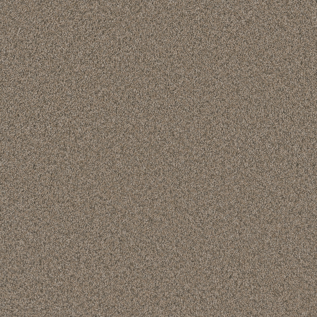 Blazer I - Umber