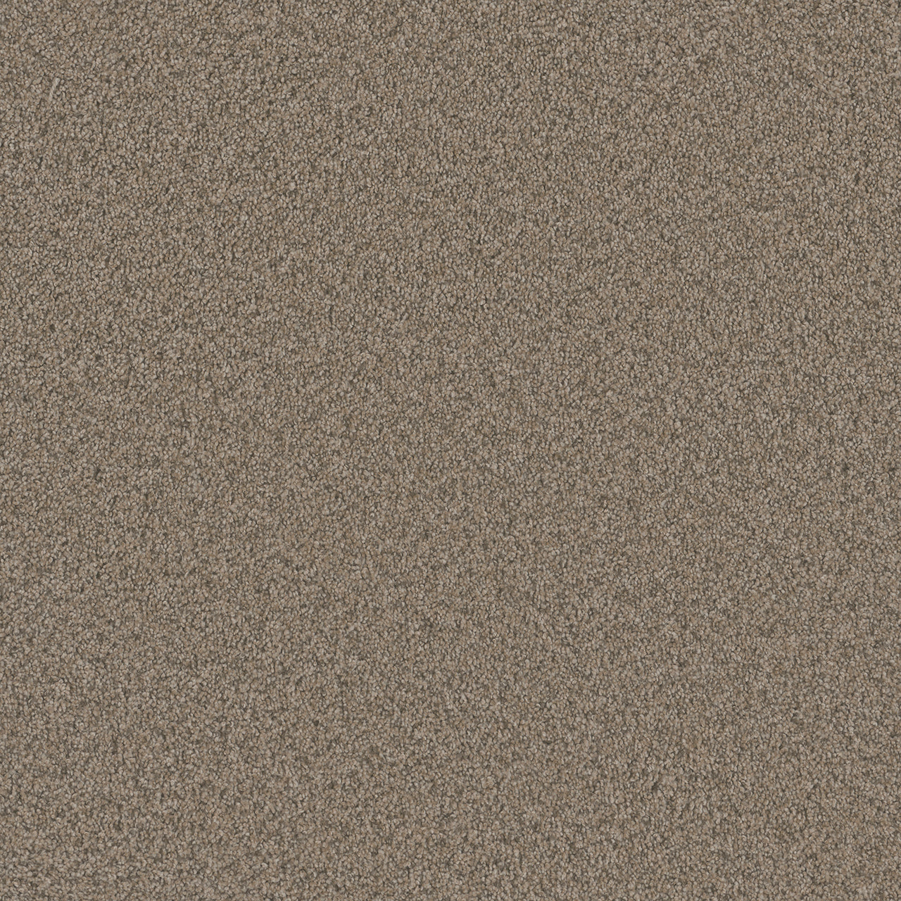 Blazer III - Umber