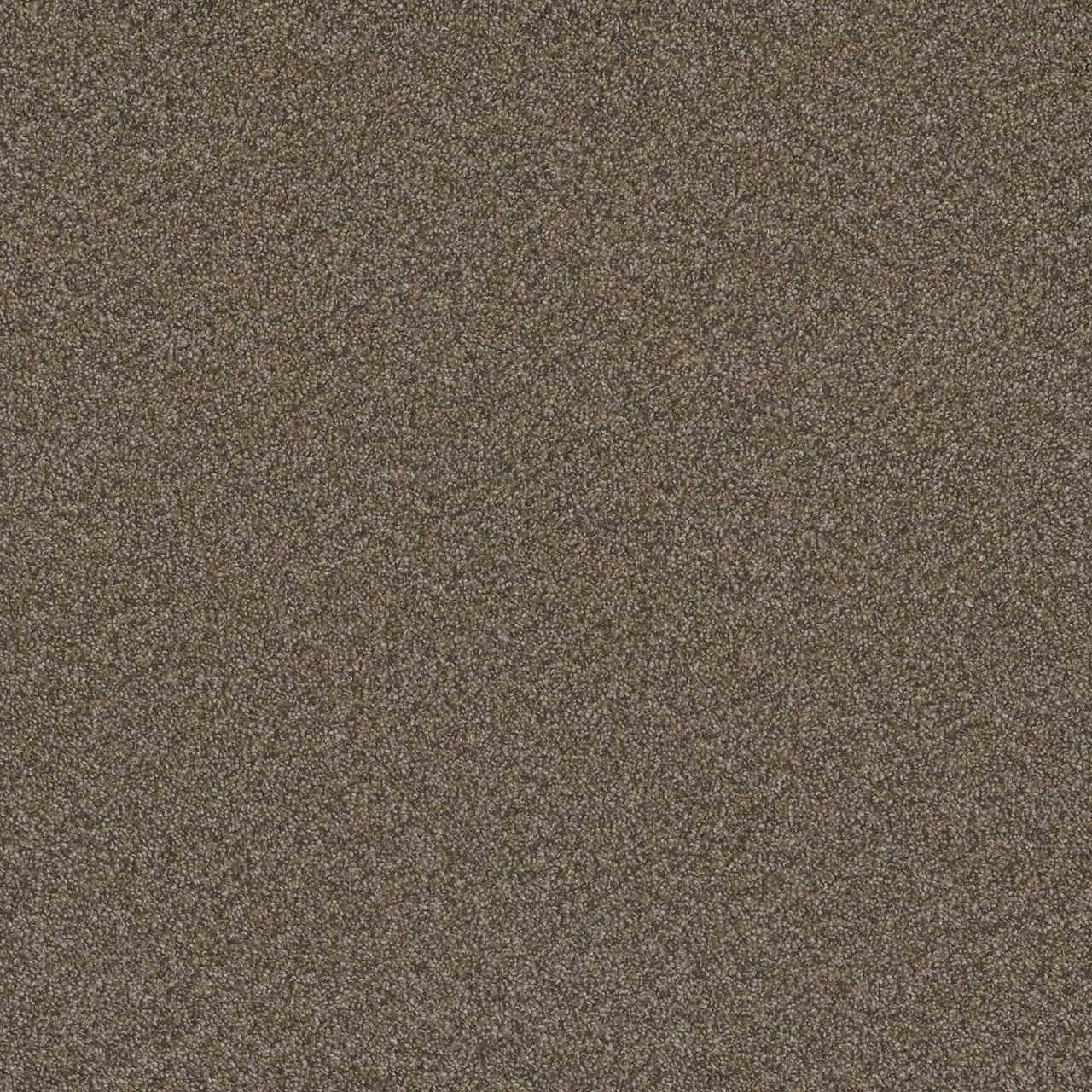 Blazer I - Fawn