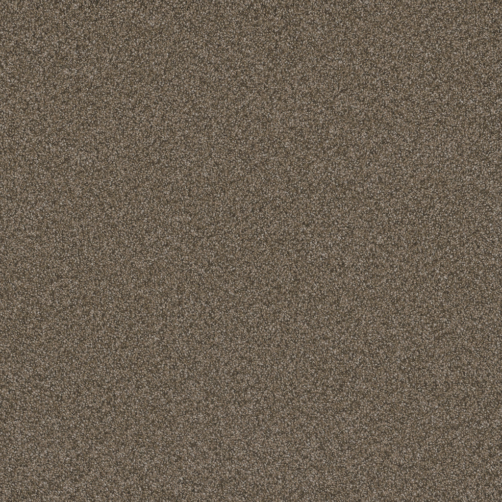 Blazer III - Fawn