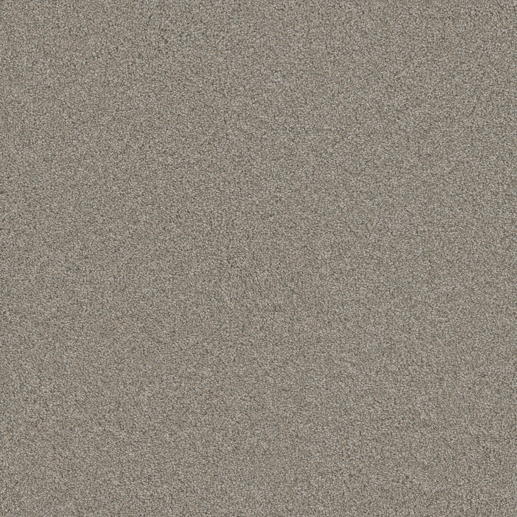 Blazer III - Antique Fresco