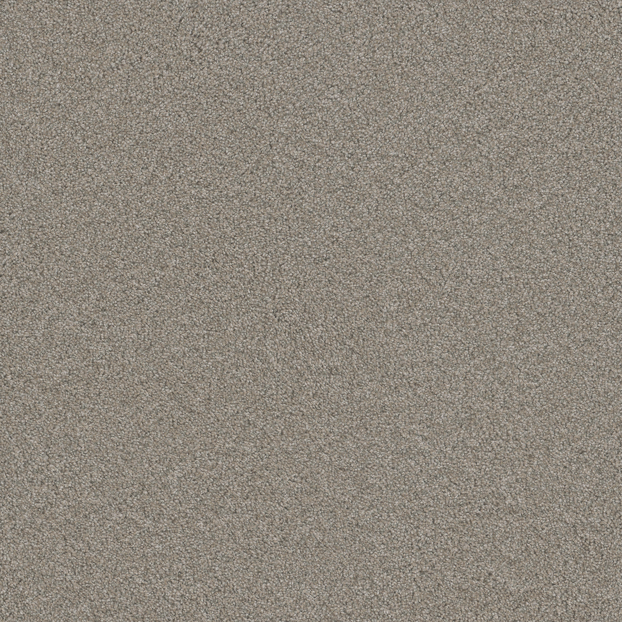 Blazer III - Antique Fresco