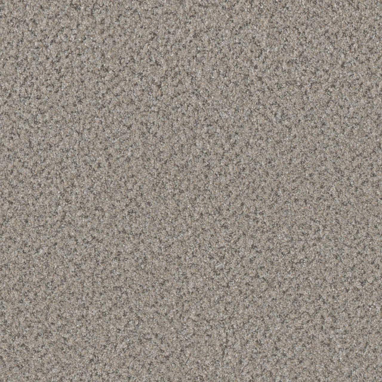 Timberline III - Celestial