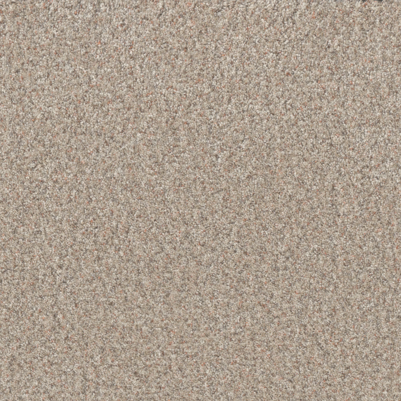 Timberline III - Blossom