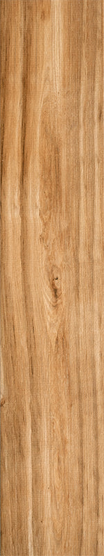 Cypress