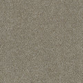 Mirage II - Bold Nature
