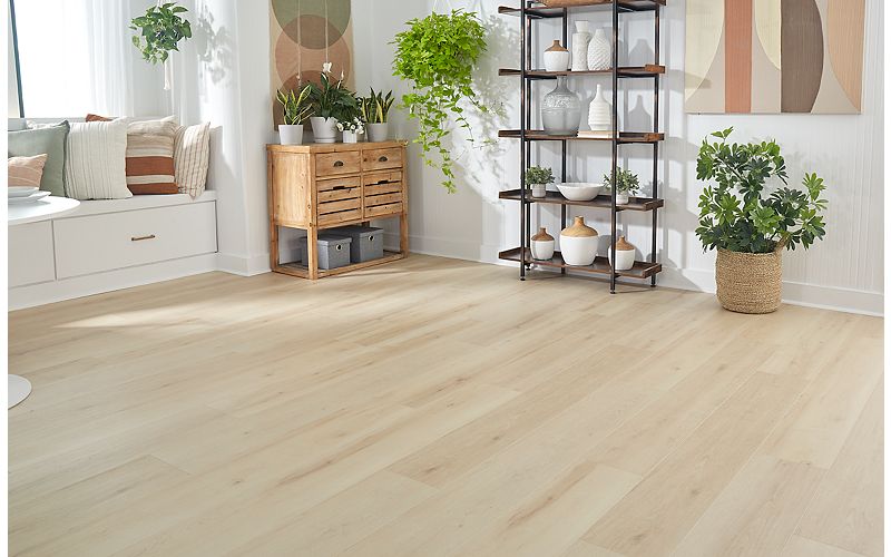 Soild Tech Image Gallery
