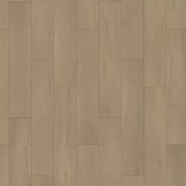 Elise Swatch